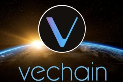 VeChain VeWorld Wallet이 Transak 통합을 통해 Apple Pay 지원 추가