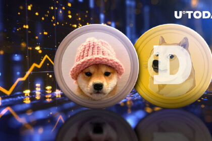 도지코인(DOGE) 시가총액이 200억 달러를 돌파한 가운데 WIF는 두 자릿수 상승세를 기록