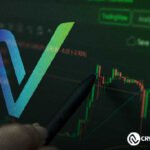 Sunny Lu와 VeChain, 브뤼셀 핵 시즌에서 빛나다