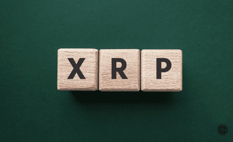 새로운 영상에서 XRP에 대한 Bitrue의 흔들리지 않는 지원이 강조됨