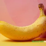 트레이더, $BANANA에 150만 달러 투자