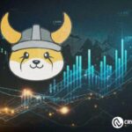 FLOKI의 거래량이 4억 9,200만 달러에 도달, 24시간 거래에서 WIF와 SHIB를 앞지르다