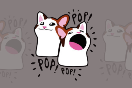 POPCAT 인상적인 성장이 주요 암호화폐와 밈 코인을 앞지르다