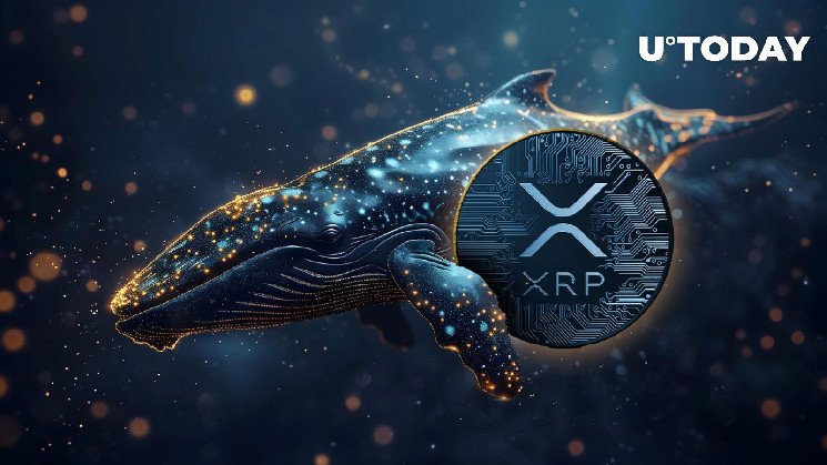 XRP 고래, 예측 불가능한 두 번의 이체로 시장을 놀라게 하다