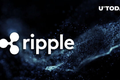 Ripple은 XRP 보유자에 의존하지 않는다고 비즈니스 전문가가 주장