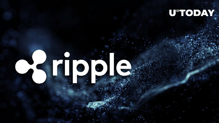 Ripple은 XRP 보유자에 의존하지 않는다고 비즈니스 전문가가 주장