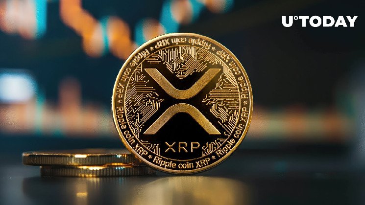 24시간 만에 1억 XRP - 무슨 일이 일어나고 있는지 알아보세요