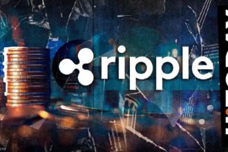 Ripple, RLUSD 출시에 앞서 주요 스테이블코인 동향 공개