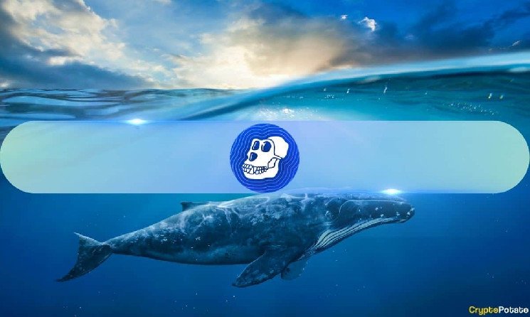 Whale ApeCoin 거래량 2,100% 급증, APE 가격은?