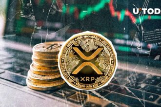 XRP 원장에서 활성 지갑이 크게 급증한 것을 확인했습니다.