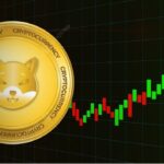 Shiba Inu 분석가는 Shibarium 채택이 붕괴됨에 따라 SHIB 가격 하락을 경고하고 5000배 이익을 위해 $0.03 Altcoin을 가리킵니다.