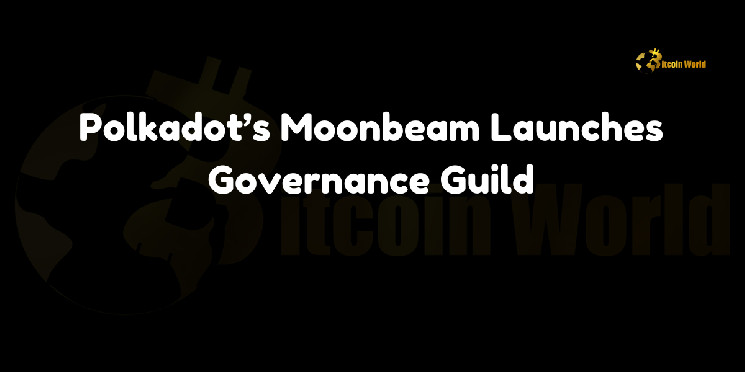 Polkadot의 Moonbeam, 거버넌스 길드 출범