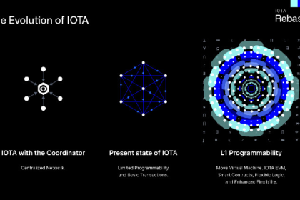 IOTA Foxes: 빨리 감기