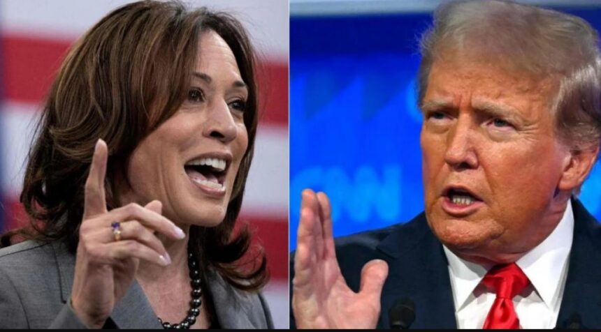 도널드 트럼프(Donald Trump)와 카말라 해리스(Kamala Harris)에서 영감을 받은 암호화폐는 자신들의 "선거"에 대해 이의를 제기합니다.