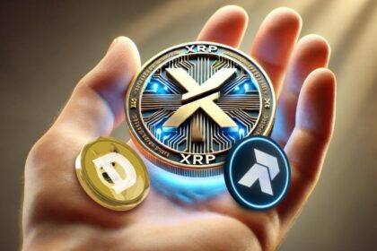 XRP 가격 대. 도지코인 대. RCO 금융: 2025년까지 가장 높은 ROI를 제공할 토큰은 무엇입니까?