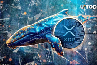 XRP 고래 활동은 3달러 가격으로 사상 최고치를 기록했습니다.