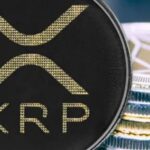 이제 XRP도 재무 자산으로 선택됩니다.